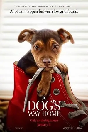 a dog s way home 2019