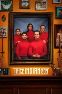 a nice indian boy 2025