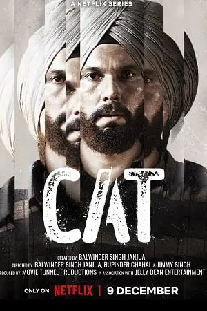 cat 2022