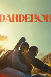 dandelion 2024