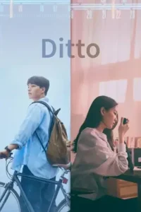 ditto the agreement 2022