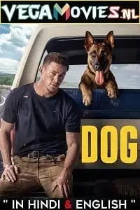 dog 2022