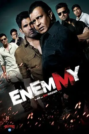 enemmy 2013