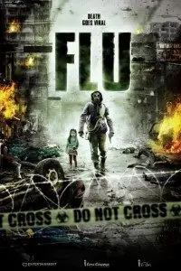 flu 2013