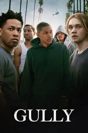 gully 2019