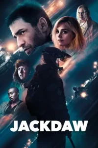 jackdaw 2024