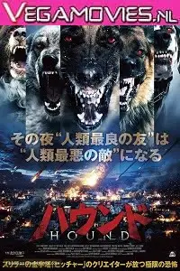 night of the wild 2015