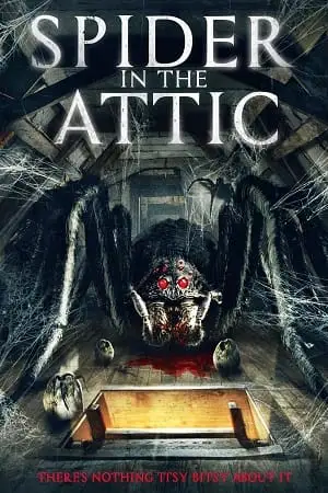 spider in the attic 2021