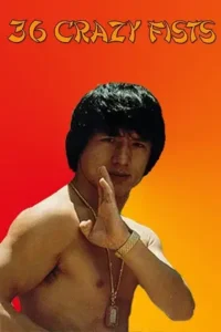 the 36 crazy fists jackie chan and the 36 crazy fists 1977