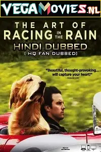 the art of racing in the rain 2019