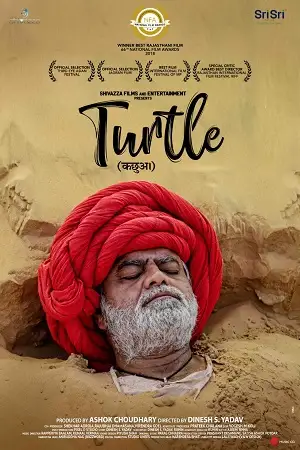 turtle 2021