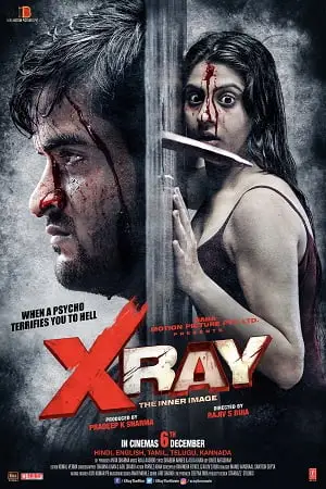 x ray the inner image 2019