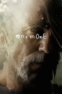 anemone 2025
