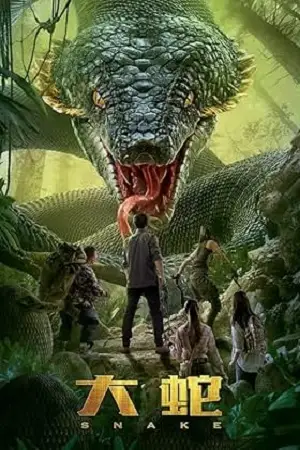 the python 2021